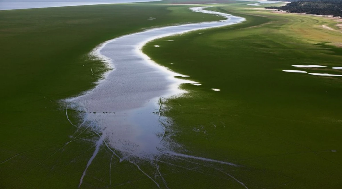 Amazon drought disrupts - 1.png