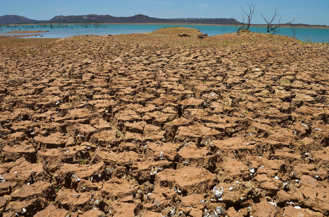 Amazon drought disrupts - 2.png