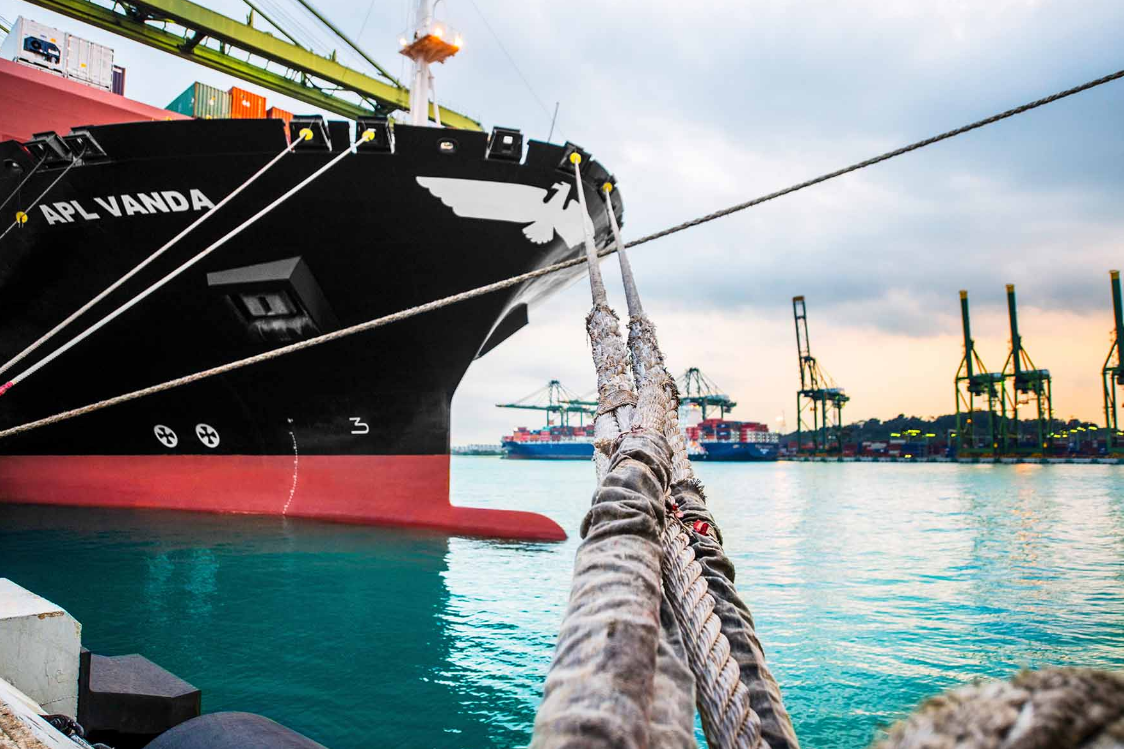 APL Vanda - calling port.png