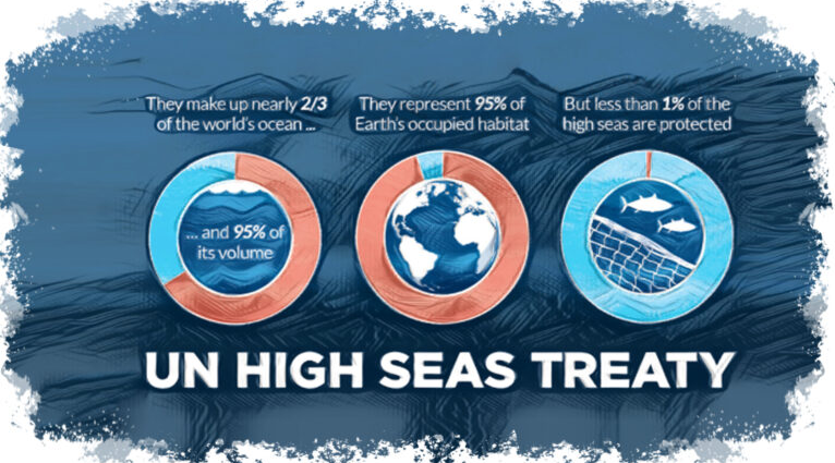 The UN High Seas Treaty.png